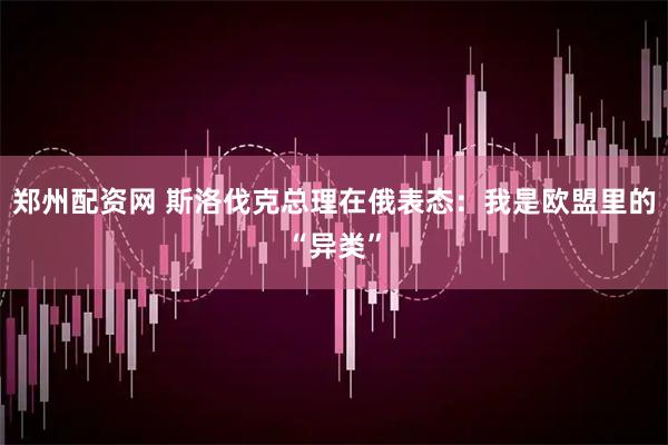 郑州配资网 斯洛伐克总理在俄表态：我是欧盟里的“异类”